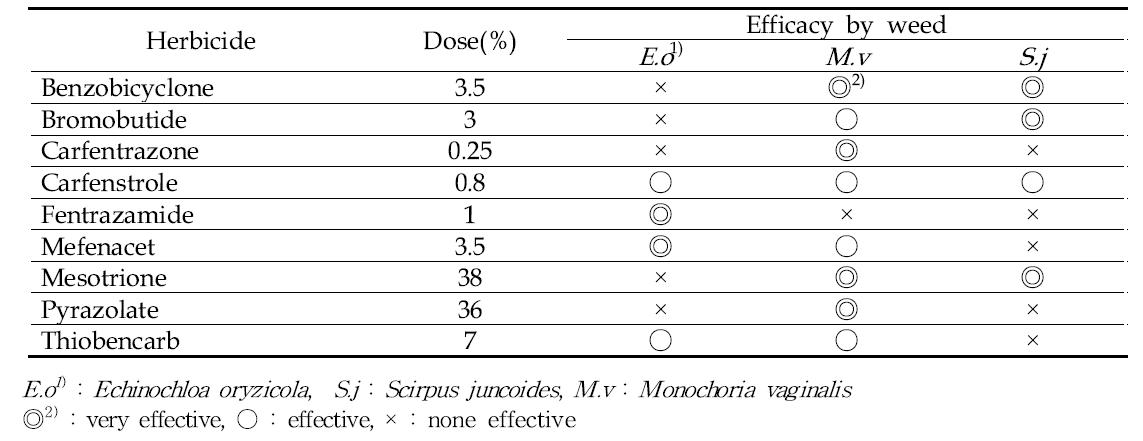 벼 무논직파에서 제초제 저항성 잡초들을 방제하기 위하여 ALS 및 ACCase 저해제들과 혼합하여 사용되어지고 있는 제초제들의 방제 효과