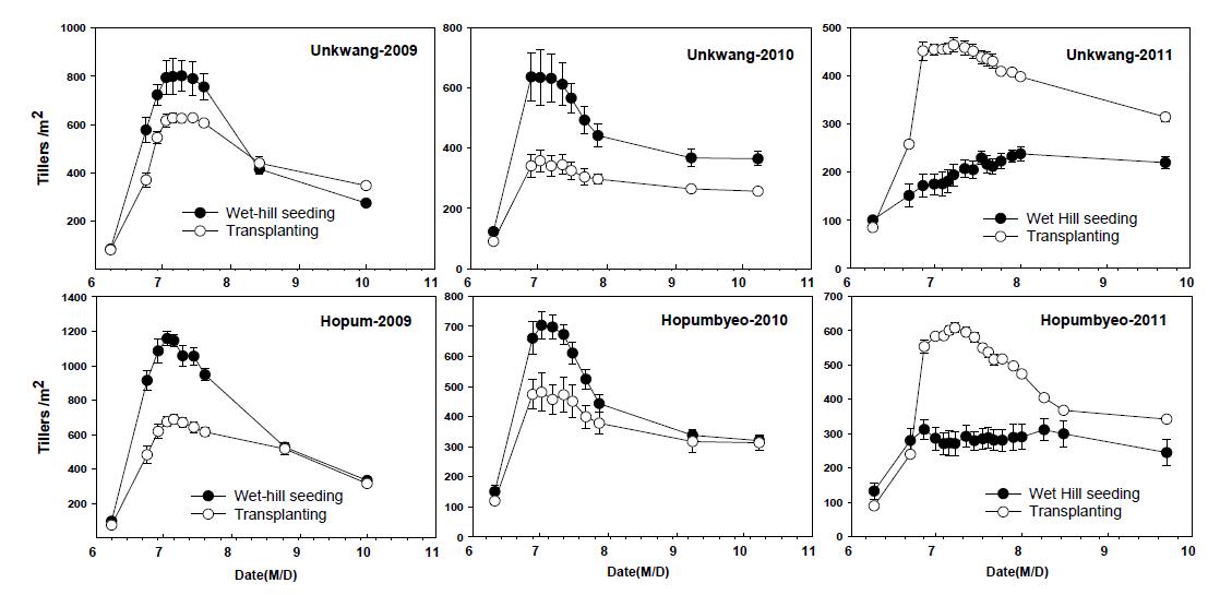벼 무논점파와 기계이앙재배시 운광벼와 호품벼의 분얼수 변화 양상 (`09~`11), 데이터는 4반복의 평균±표준오차.