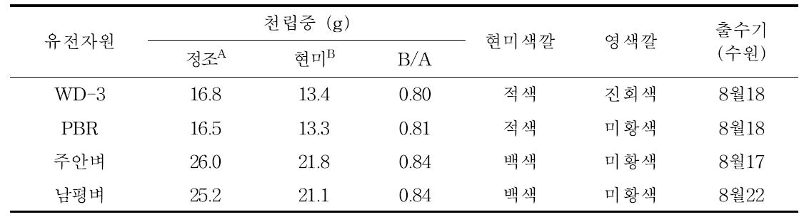 WD-3, PBR, 주안벼 및 남평벼의 종자형태와 출수기 차이