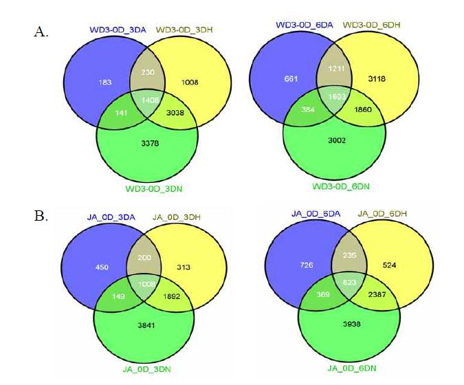 무산소, 저산소, 무처리시 WD-3와 주안벼의 발현유전자들을 벤다이어그램으로 분류하여 품종 내에서 처리간의 상호관계 분석.