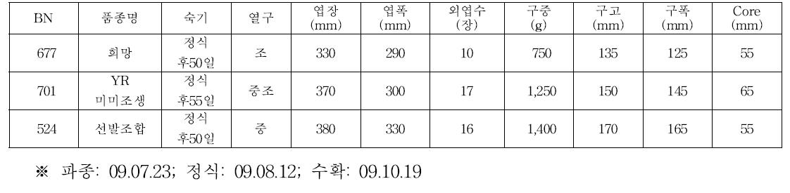 원형계 양배추 조합 선발시험