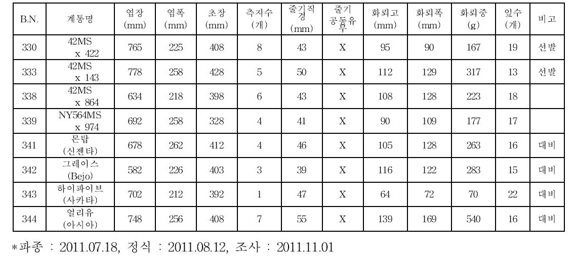 브로콜리 조합 선발시험