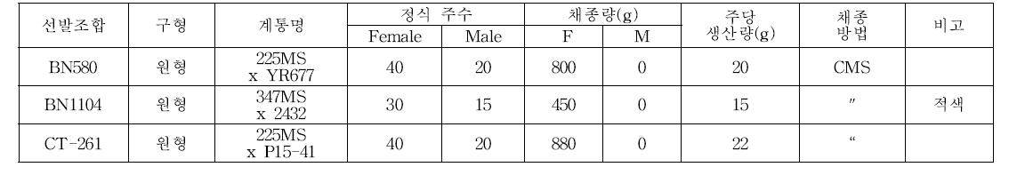 양배추 선발조합의 종자생산력 검정