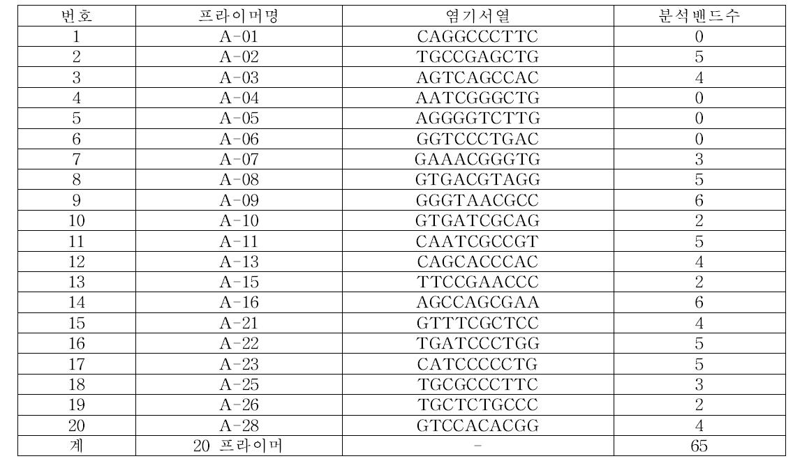 사용한 RAPD 프라이머 서열정보