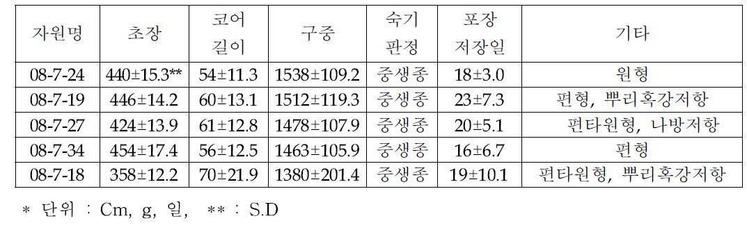 우수 양배추 자원 (중생종)