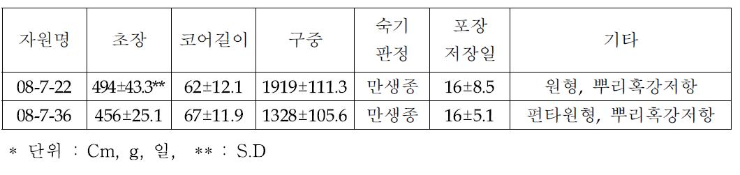 우수 양배추 자원 (만생종)