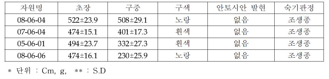 우수 콜리플라워 자원