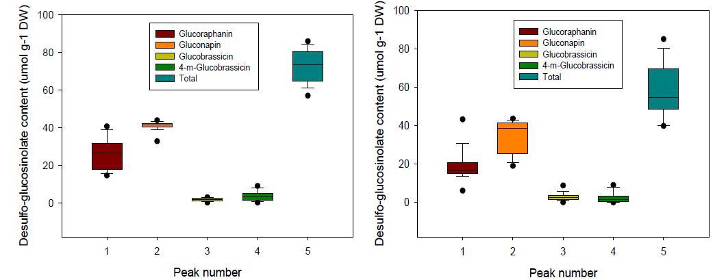 브로콜리와 콜리플라워 화구 내 동정 desulfo glucosinolate 종류별 함량 변이.