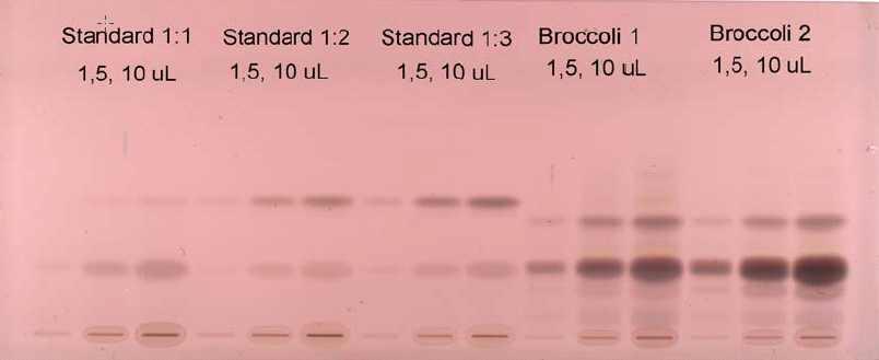 HPTLC에 의한 desulfo-glucosinolate 분리.