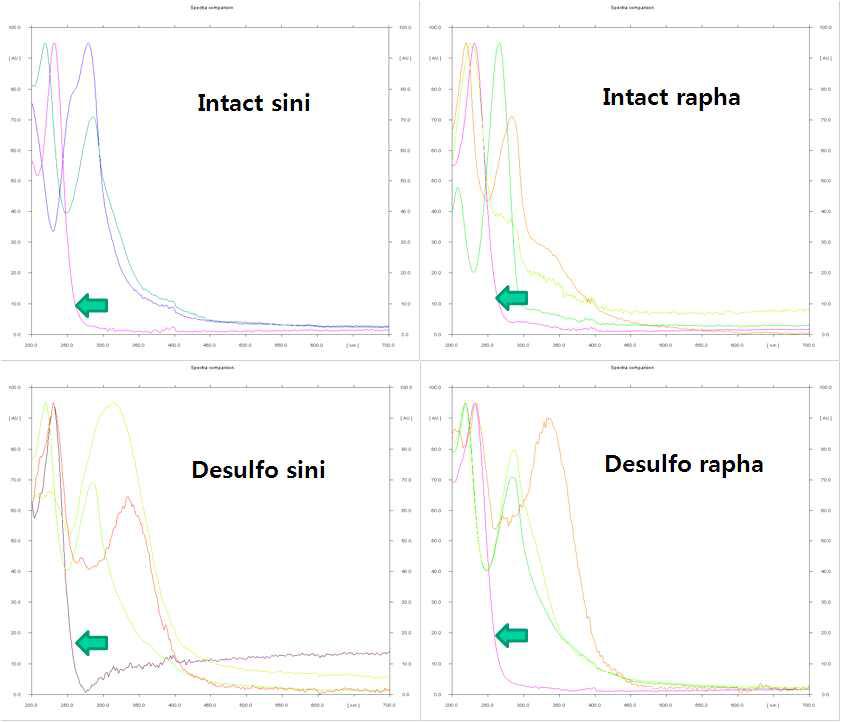 브로콜리의 체내 sinigrin과 glucoraphanin의 spectral comparison.