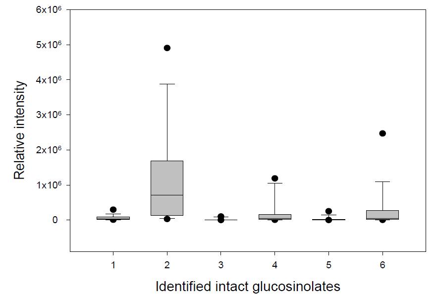 브로콜리 육성계통 95점의 주요 intact glucosinolate 종류별 변이