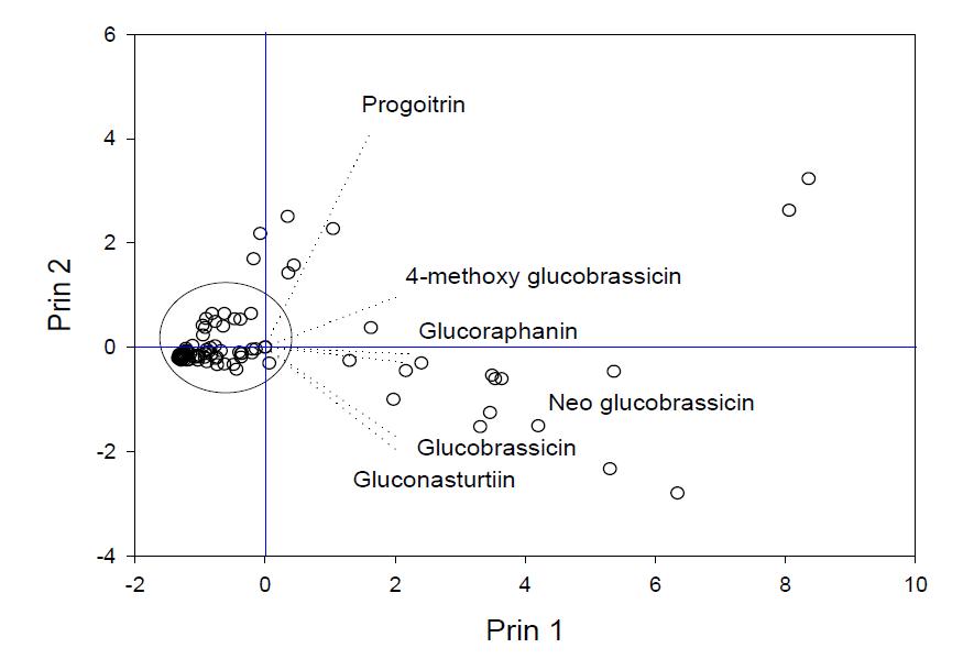 브로콜리 육성계통 95점의 주요 intact glucosinolate 함량에 대한 주성분 분석 도표.