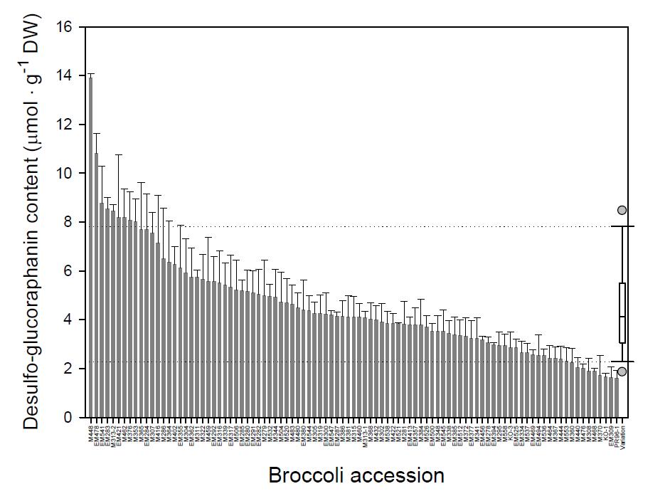 브로콜리 육성계통 95점의 Desulfo-glucoraphanin 함량 분포.