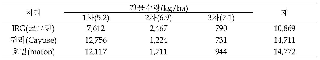 동계 사료작물 품종별 건물수량 변화