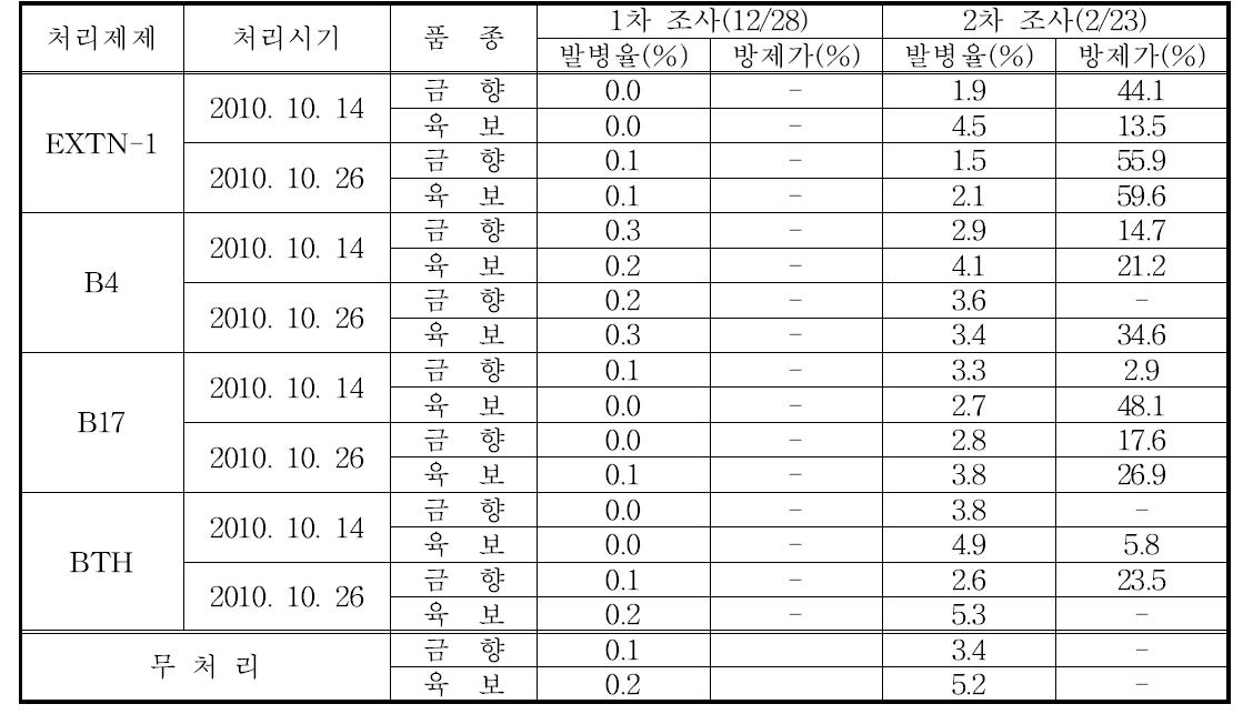 미생물제 처리에 의한 딸기잿빛곰팡이병의 방제효과(2차)