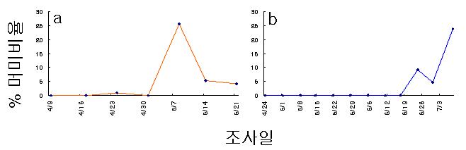 토마토 온실 포장에서의 온실가루이 머미의 발생 비율 변화