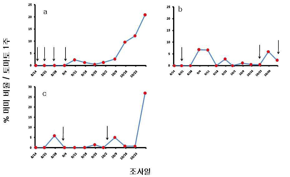 토마토 온실 포장에서의 머미 발생 변화