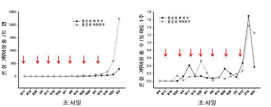 용성리 포장에서의 온실가루이 성충과 약충 발생소장, 봄작기, 2010년