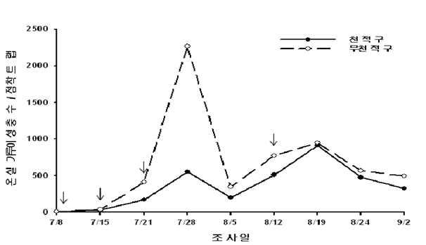 석송리 포장(2번 포장)에서의 온실가루이 성충 발생소장, 2010년 가을작기