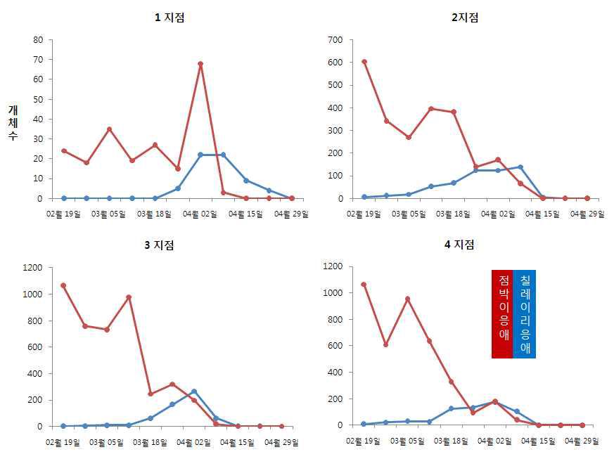 칠레이리응애 이용 딸기포장에서 점박이응애 발생 4지점에서 칠레이리응애와 점박이응애 밀도 변동