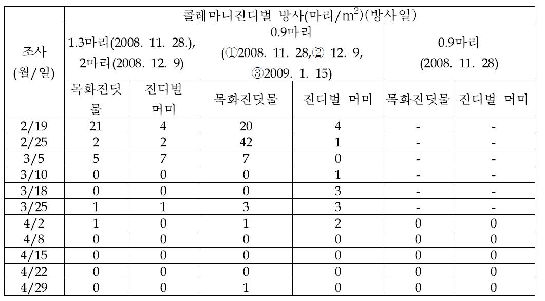 촉성재배 딸기하우스에서 콜레마니진디벌 방사수준별 진딧물과 진디벌 머미 밀도 조사