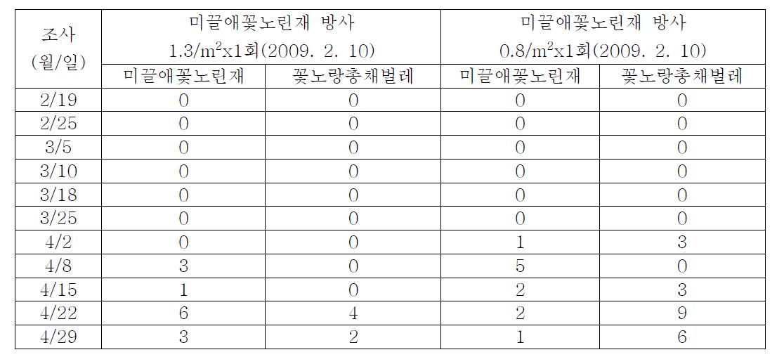 미끌애꽃노린재를 방사한 딸기 포장에서 미끌애꽃노린재와 꽃노랑총채벌레의 밀도