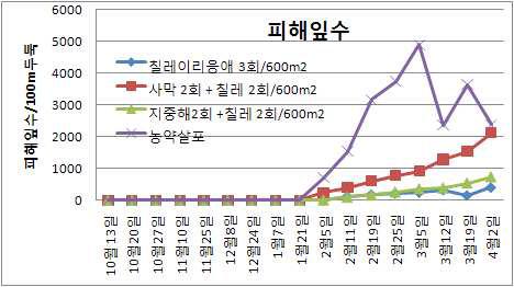 촉성재배 딸기에서 점박이응애 방제를 위하여 ①칠레이리응애 3회 방사, ②칠레이리응애 2회 방사와 사막이리응애 2회 방사, ③칠레이리응애 2회 방사와 지중해이리응애 2회 방사, ④ 농약살포한 처리구에서 점박이응애 피해 잎수 조사