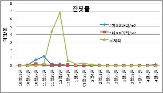 딸기재배 하우스에서 콜레마니진디벌 방사 후 진딧물 밀도