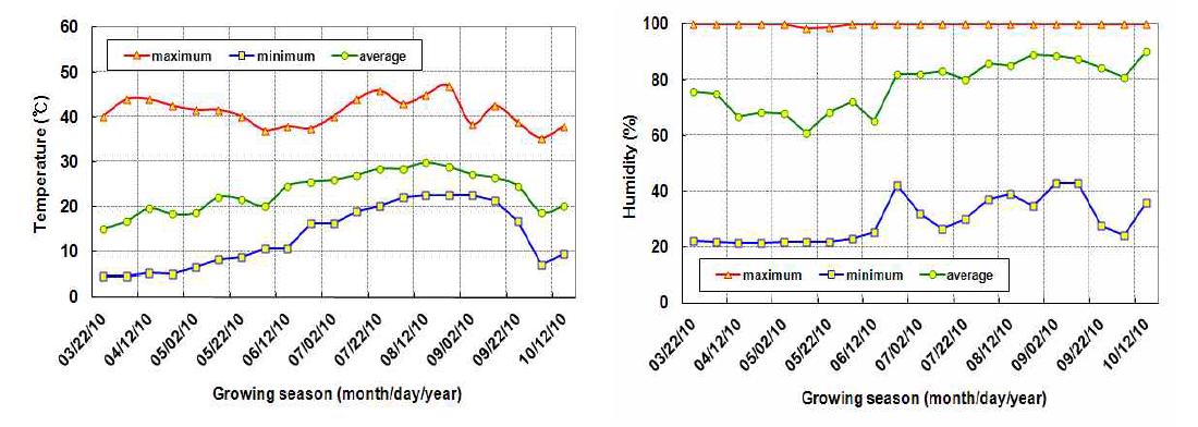 반촉성 시설재배 고추시험 포장의 시기별 온도(좌) 및 습도(우)