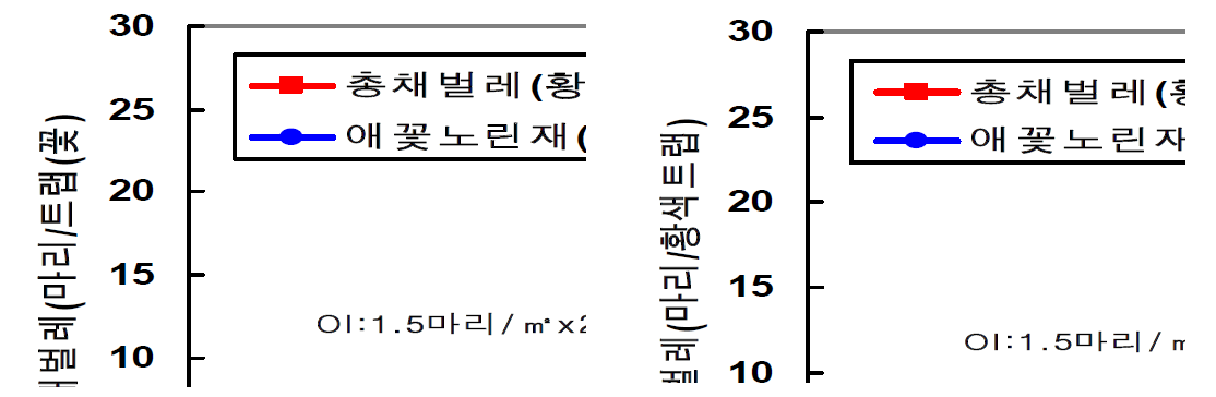 반촉성 시설재배 고추에서 미끌애꽃노린재 방사에 의한 총채벌레 방제효과(2010년)