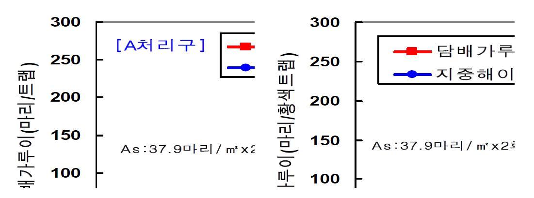 반촉성 시설재배 고추에서 지중해이리응애 방사에 의한 담배가루이 방제효과(2010년)