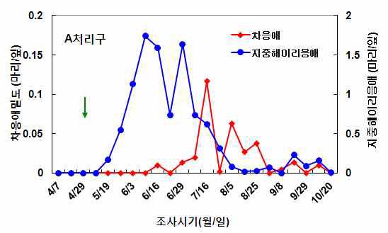 반촉성 시설재배 고추에서 지중해이리응애 방사에 의한 차응애 방제효과(2011년)