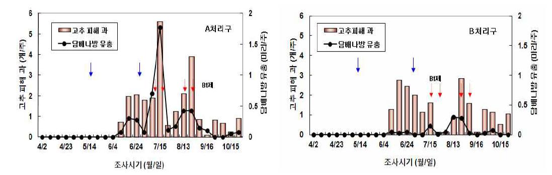 반촉성 시설재배 고추에서 방충망, 천적, BT에 의한 담배나방 방제효과(2009년)