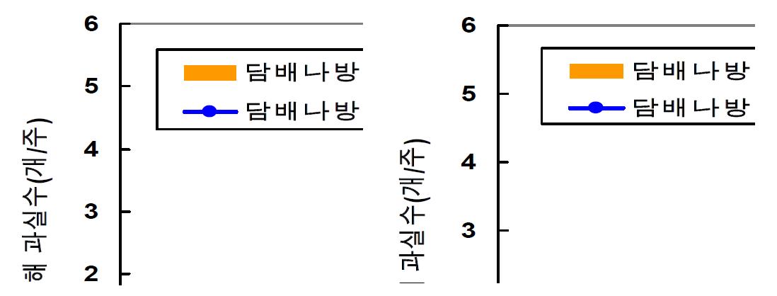 반촉성 시설재배 고추에서 방충망, 천적, BT에 의한 담배나방 방제효과(2010년)