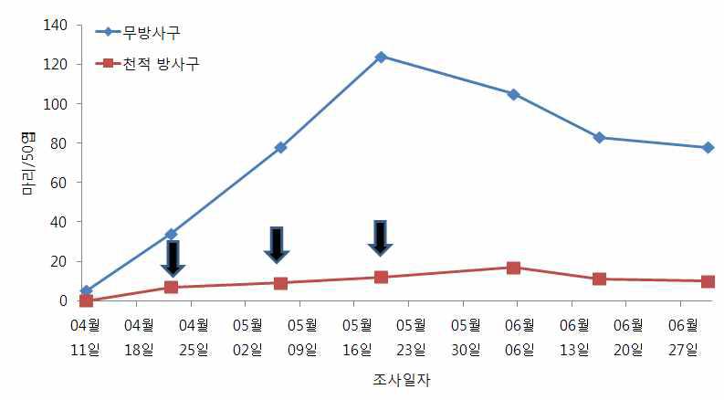 시설오이 꼬마남생이무당벌레 이용 목화진딧물 방제효과 (‘09, 0.2마리/㎡, 3회 방사)