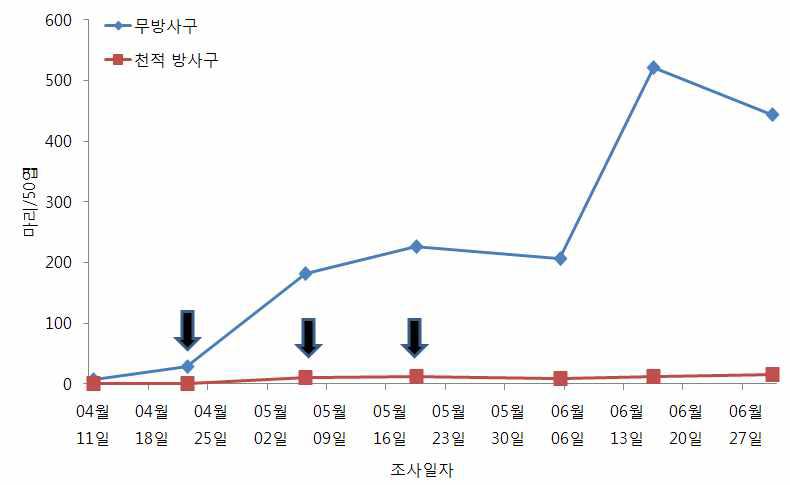 시설오이 꼬마남생이무당벌레 이용 목화진딧물 방제효과 (‘09, 0.4마리/㎡, 3회 방사)