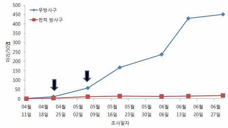 시설오이 꼬마남생이무당벌레 이용 목화진딧물 방제효과 (‘09, 0.8마리/㎡, 2회 방사)