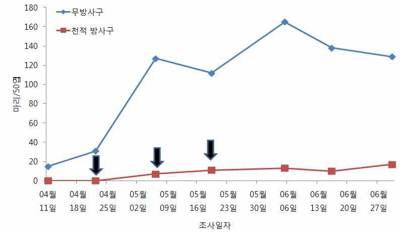 시설오이 꼬마남생이무당벌레 이용 목화진딧물 방제효과 (‘09, 0.8마리/㎡, 3회 방사)