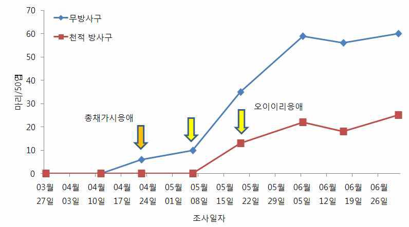 시설오이 총채가시응애와 오이이리응애 이용 꽃노랑총채벌레 방제효과 (총채가시응애 15.2마리/㎡, 1회＋오이이리응애 38.0마리/㎡, 2회 방사)