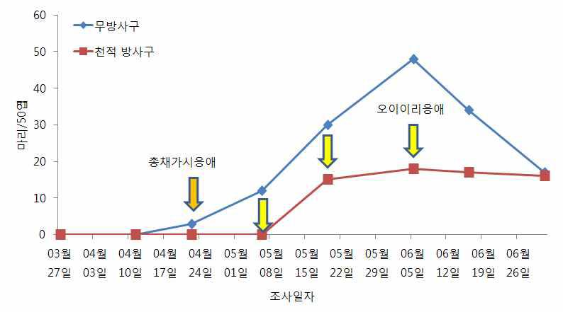 시설오이 총채가시응애와 오이이리응애 이용 꽃노랑총채벌레 방제효과(‘09) (총채가시응애 15.2마리/㎡, 1회＋오이이리응애 38.0마리/㎡, 3회 방사)