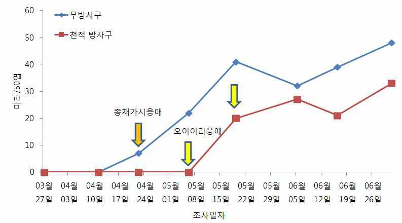 시설오이 총채가시응애와 오이이리응애 이용 꽃노랑총채벌레 방제효과(‘09) (총채가시응애 30.4마리/㎡, 1회＋오이이리응애 76.0마리/㎡, 2회 방사)