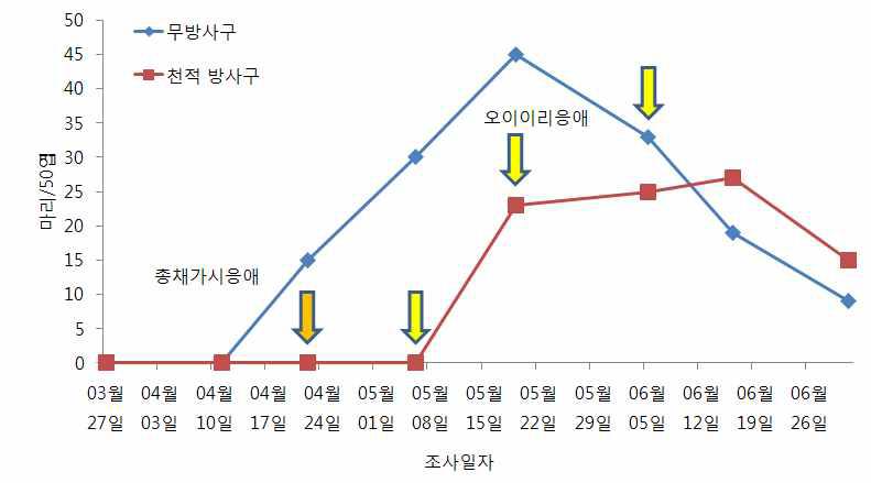 시설오이 총채가시응애와 오이이리응애 이용 꽃노랑총채벌레 방제효과(‘09) (총채가시응애 30.4마리/㎡, 1회＋오이이리응애 76.0마리/㎡, 3회 방사)