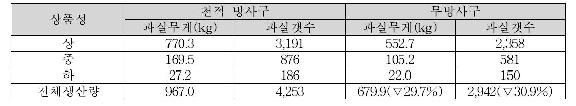 천적방사구와 무방사구의 오이 과실생산량