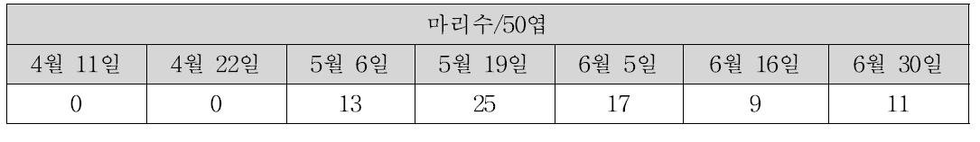 천적 방사구에서 꼬마남생이무당벌레의 밀도 변화