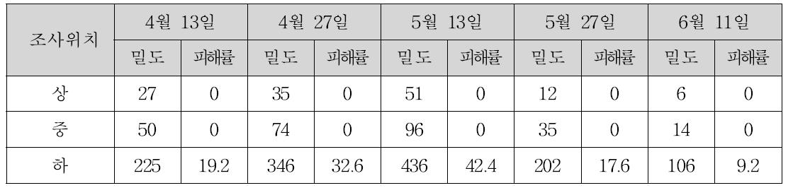 오이에서 주내 잎의 위치에 따른 싸리수염진딧물의 밀도와 엽 피해정도(‘10)