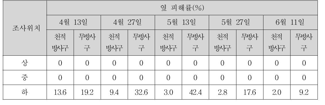 천적방사구와무방사구오이에서주내잎의위치에따른싸리수염진딧물의엽피해정도(‘10)