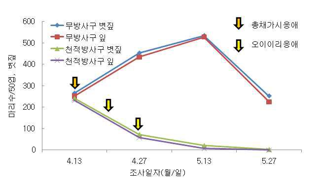 시설재배오이에서총채가시응애와오이이리응애를이용한오이긴털가루응애의밀도억제효과(‘10,)