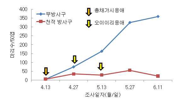 시설재배 오이에서 총채가시응애와 오이이리응애를 이용한 꽃노랑총채벌레의 밀도 억제 효과(‘10)