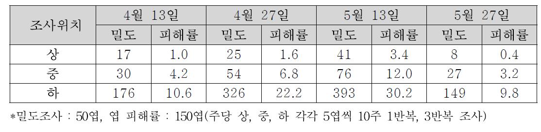 오이에서 주내 잎의 위치에 따른 오이긴털가루응애의 밀도와 엽 피해정도(‘10)