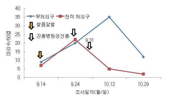 시설재배 오이에서 쌀좀알벌과 곤충병원성선충(S)를 이용한 목화바둑명나방의 밀도 억제 효과(‘10)